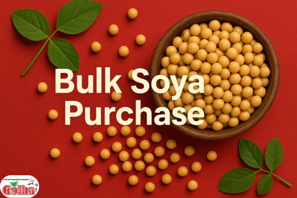  Soya 